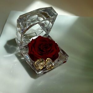 Banana Republic‎ Gold Statement Crystal Earrings ✨NWOT✨